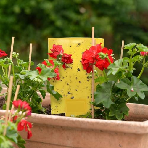30-Pack Yellow Sticky Traps (6x8 Inches, 30pcs Twist Ties) U714