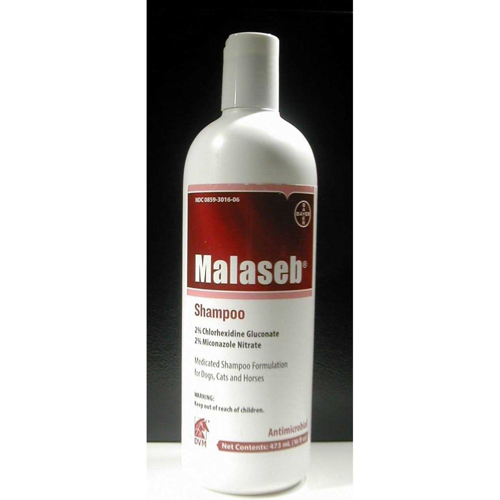 Malaseb Shampoo 8 oz F870