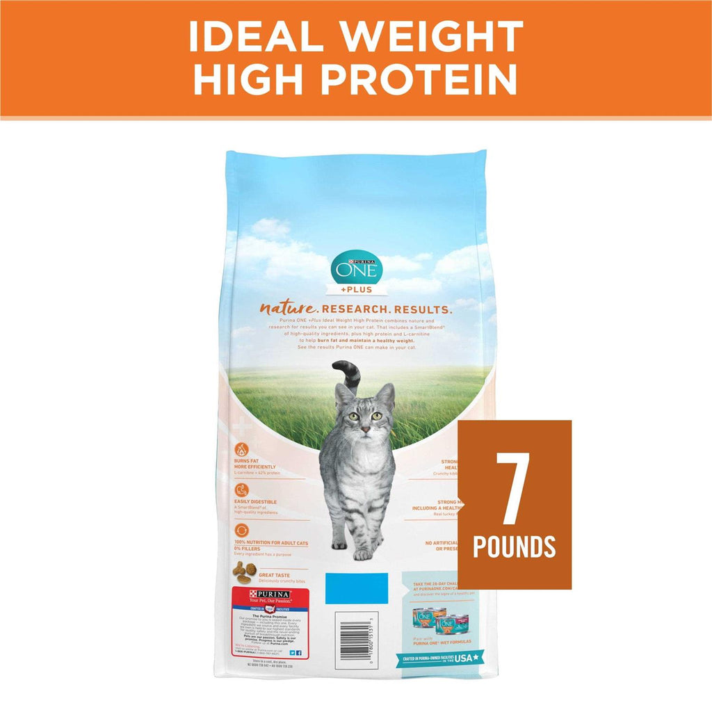 Dry Cat Food Y21638