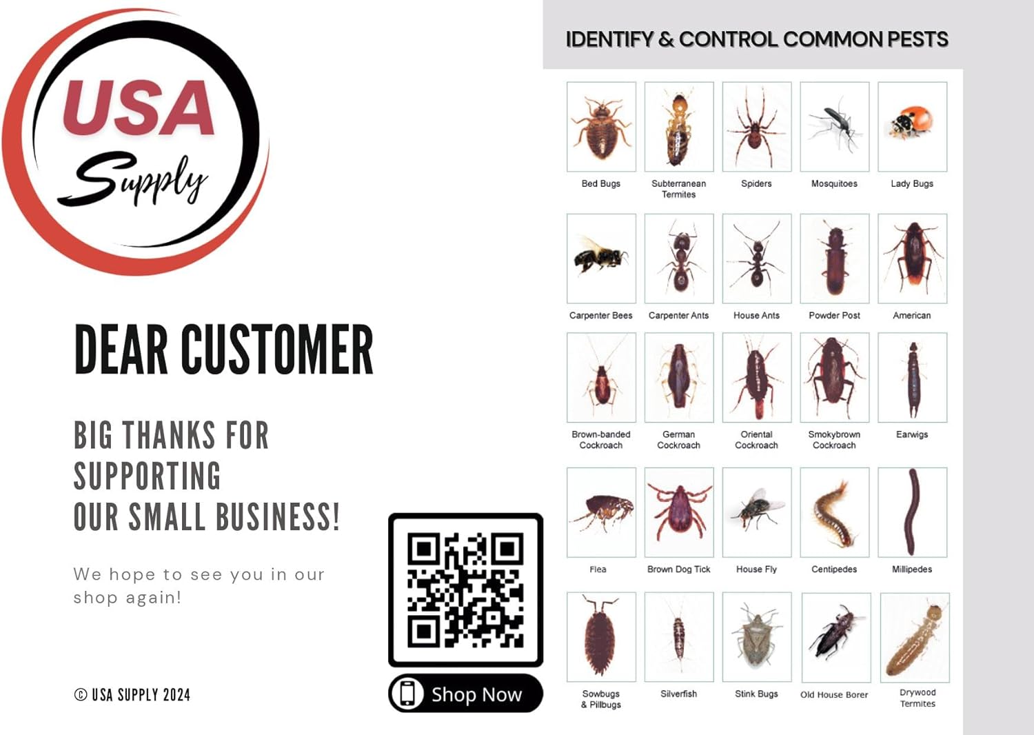 Heavy Duty Flea and Bed Bug Pressurized Insecticide with Protective Gloves and Pest Identification Card V449