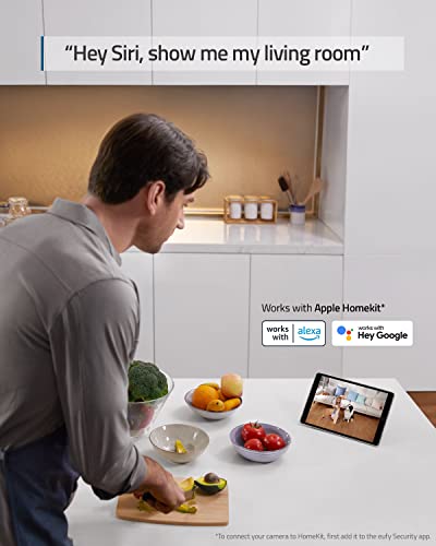 Indoor Cam, Pan & Tilt, 2K Wi-Fi Plug-in, Night Vision R300