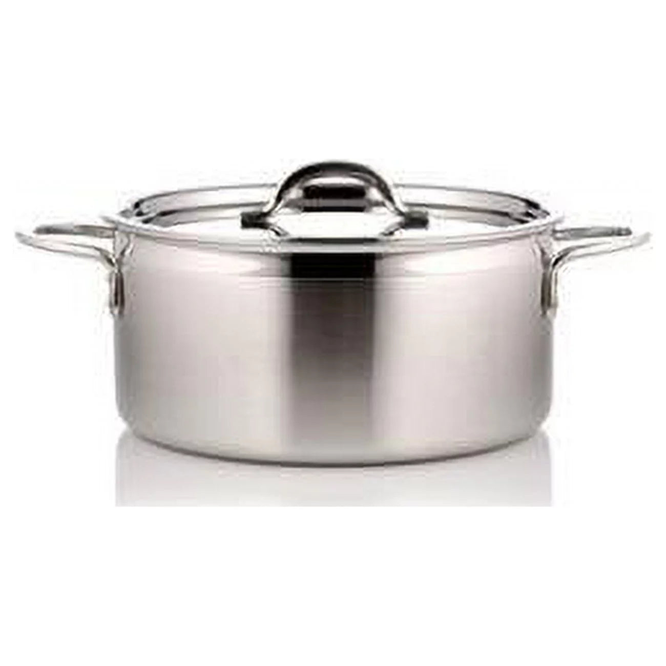 7 in. dia. Two Tone Stainless Steel Pot with Cover & 2 Round Handles - 1 quart - 22 oz D577