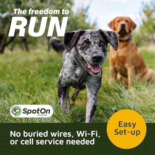 GPS Dog Fence Collar I46477