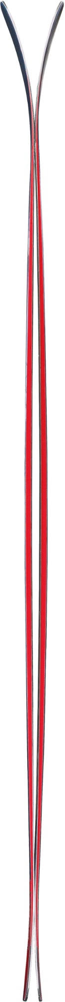 179 cm Skis L1272