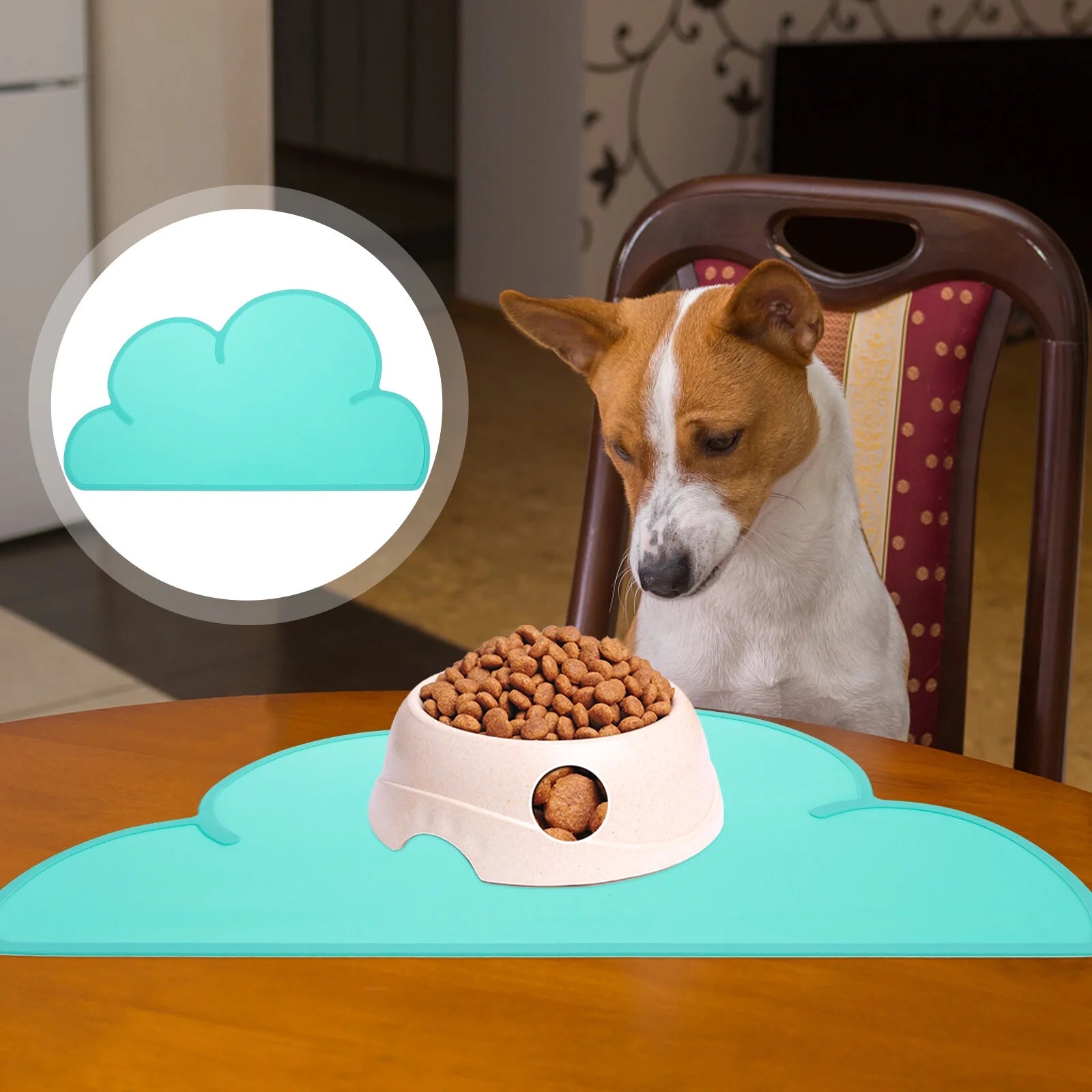 Set of 2 Silicone Pet Placemat R10480