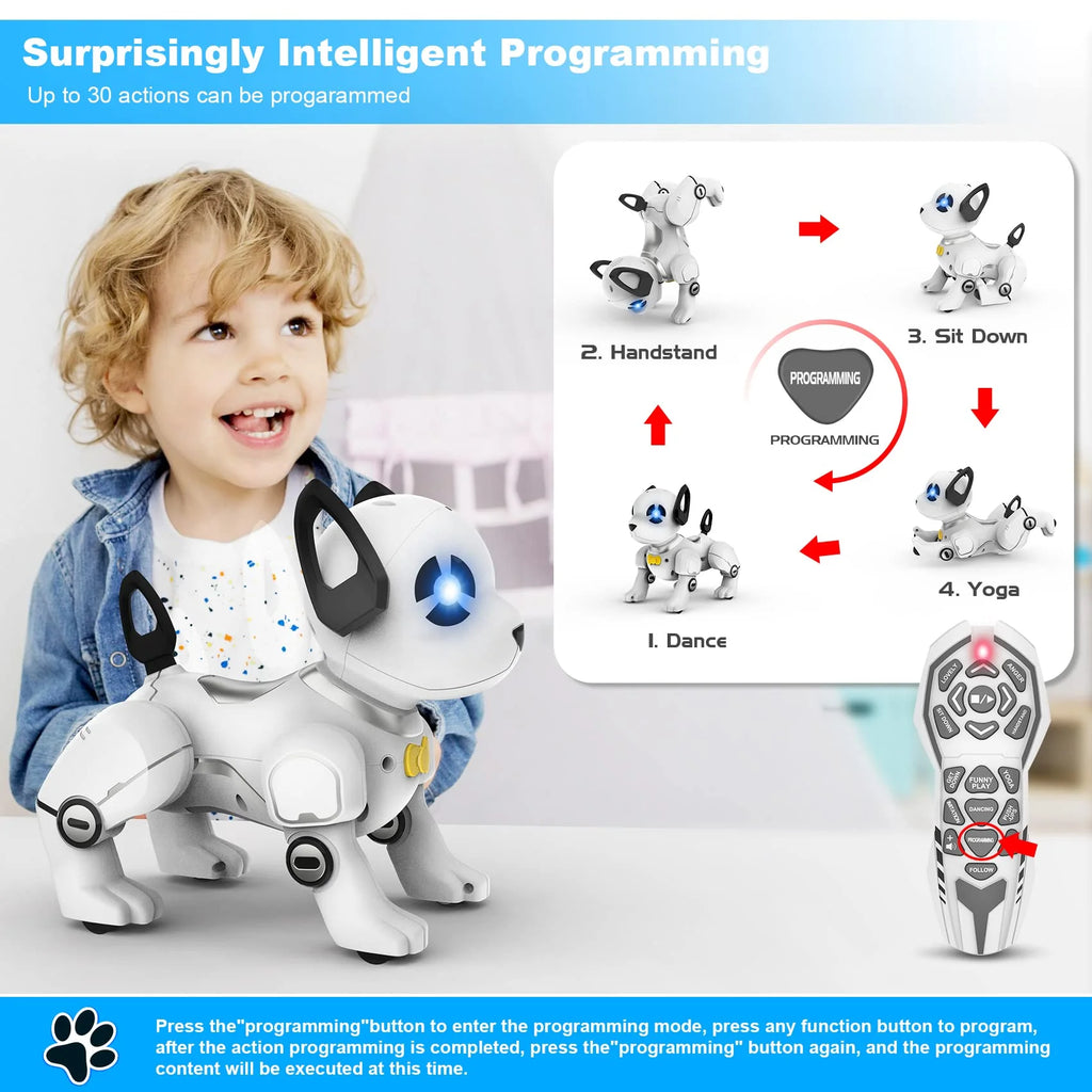 Remote Control Robot Dog Toy A49825