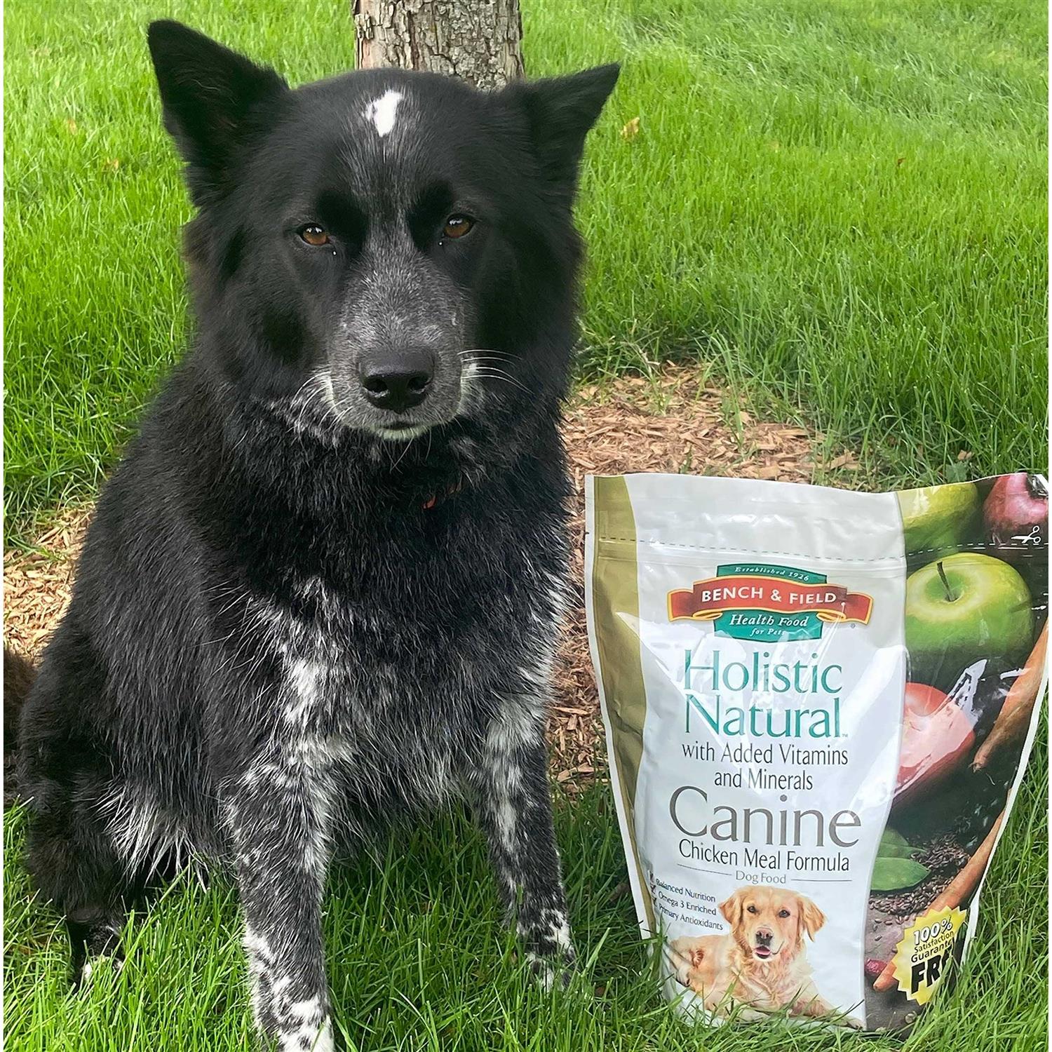 6.6 lb Chicken Meal and Brown Rice Recipe Dry Dog Food G36053