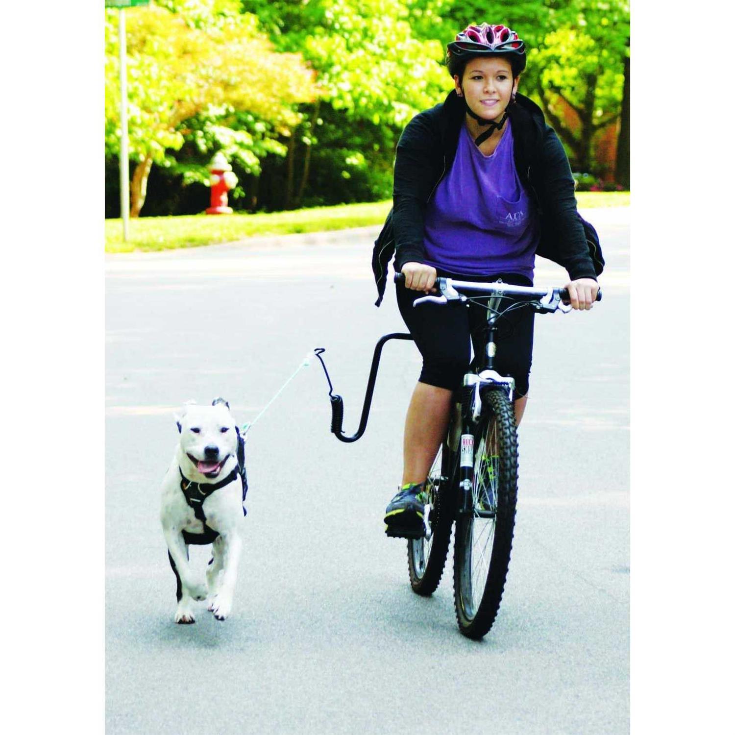 Hands Free Dog Leash Bike Attachment Kit E471780
