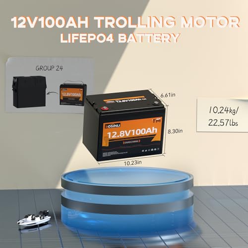12V 100Ah Group 24 LiFePO4 Battery with 100A BMS Y817984