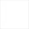 White Mold Killing Primer Spray 13 oz P182