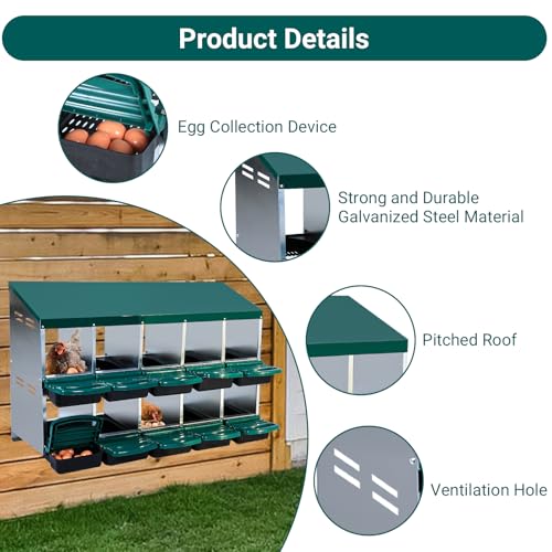 10 Hole 2 Layer Chicken Nesting Box with Legs G967