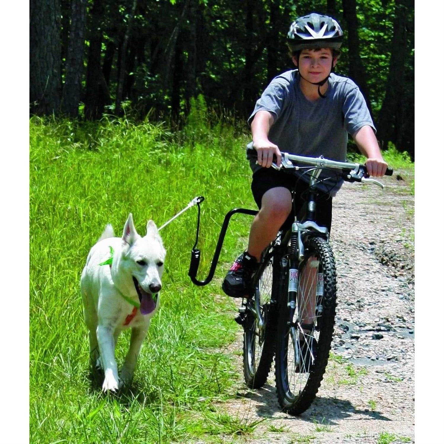 Hands Free Dog Leash Bike Attachment Kit E471780