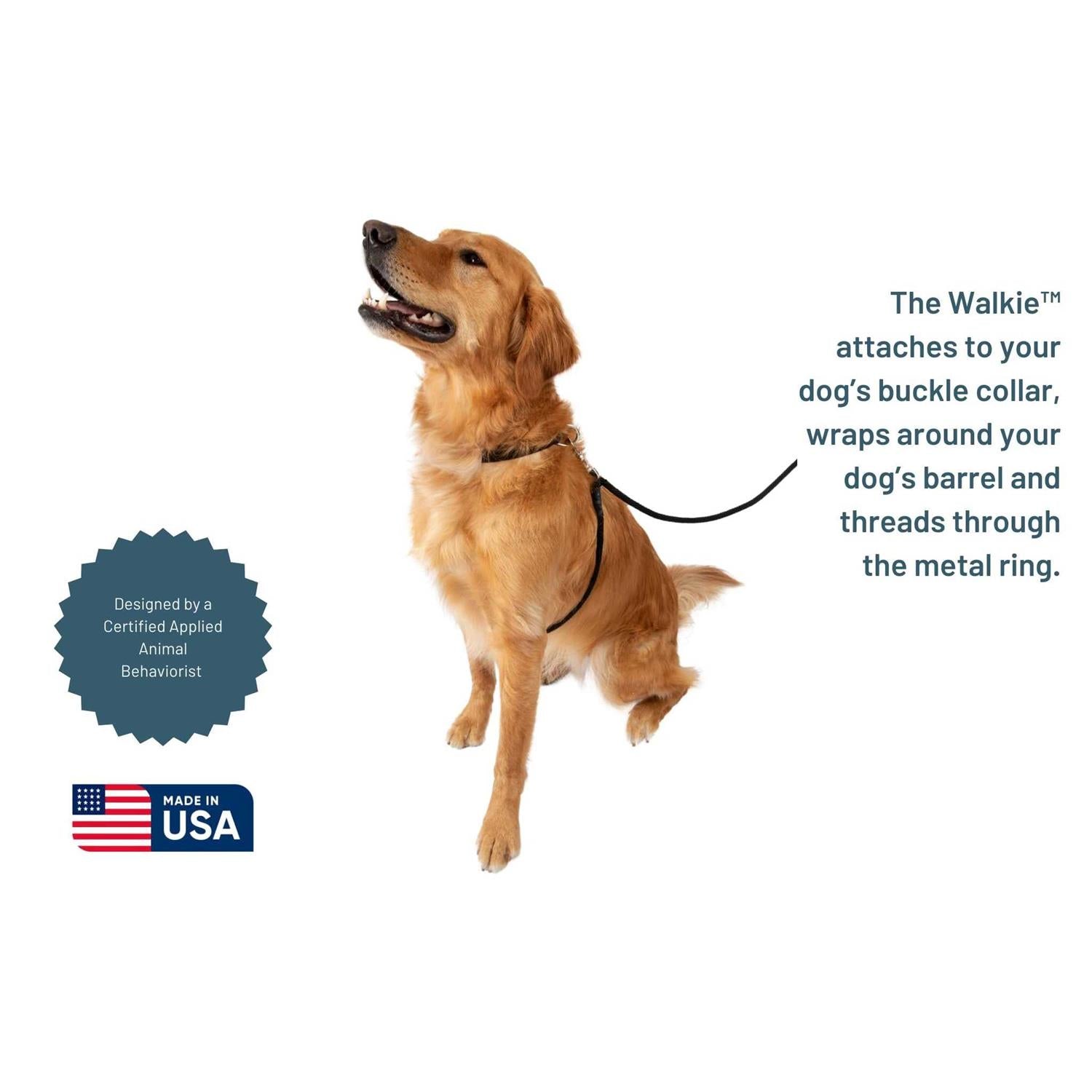 No Pull Dog Leash Q278
