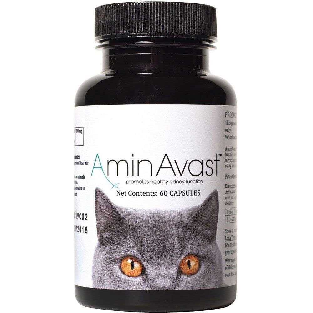 Kidney Support for Cats T485512