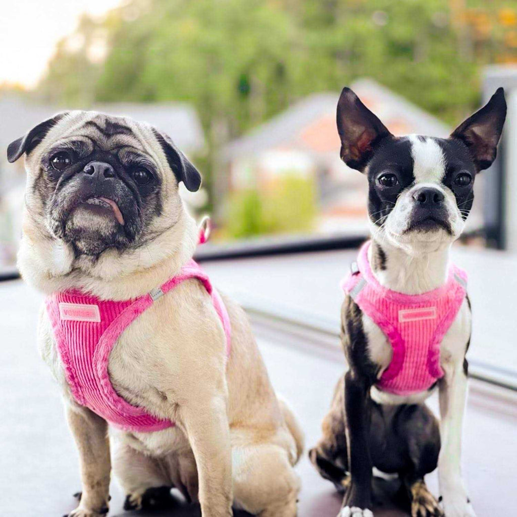 Soft Plush Step In Dog Harness P169