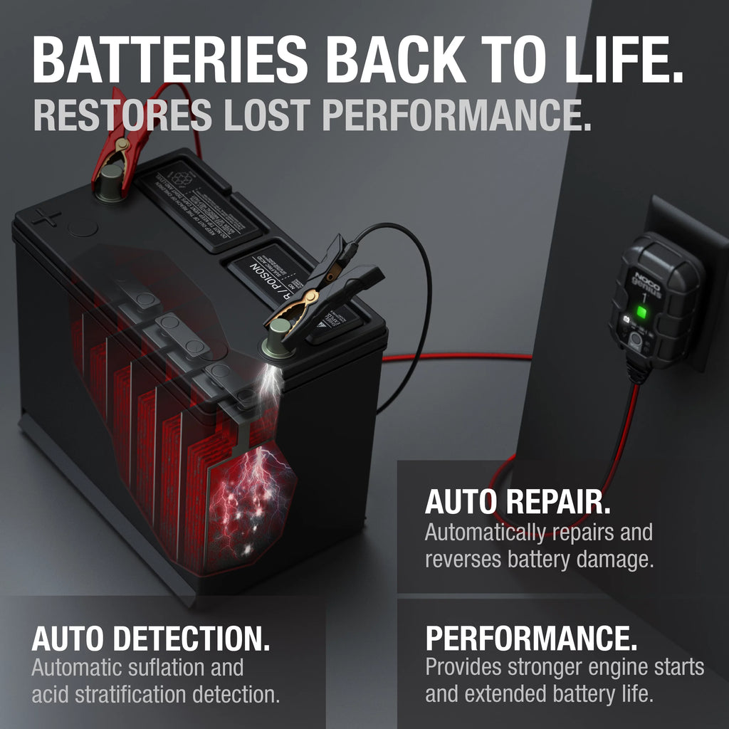 6V/12V 1A Smart Battery Charger and Maintainer O881390