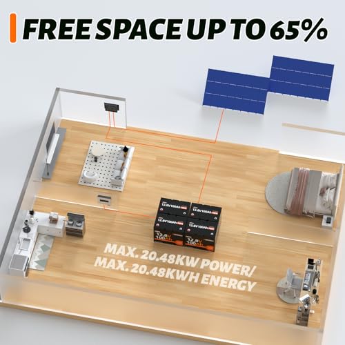 12V 100Ah Group 24 LiFePO4 Battery with 100A BMS Y817984