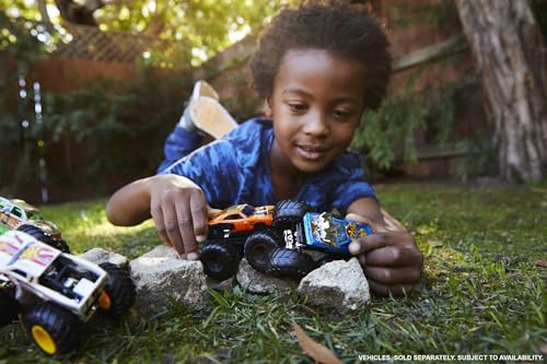 Hot Wheels Monster Trucks 2-Pack 1:64 Scale Vehicles A573