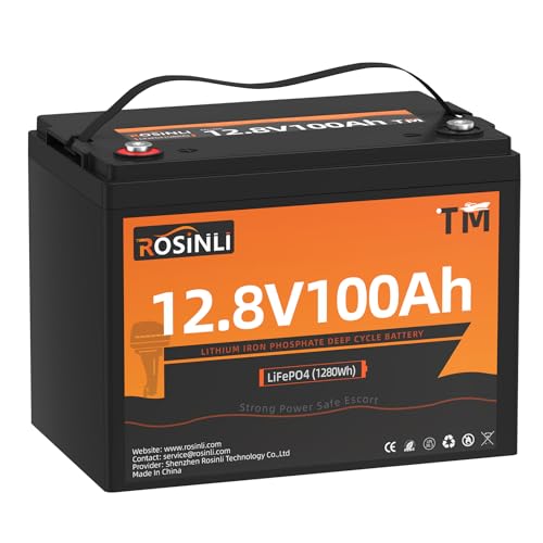 12V 100Ah Group 24 LiFePO4 Battery with 100A BMS Y817984