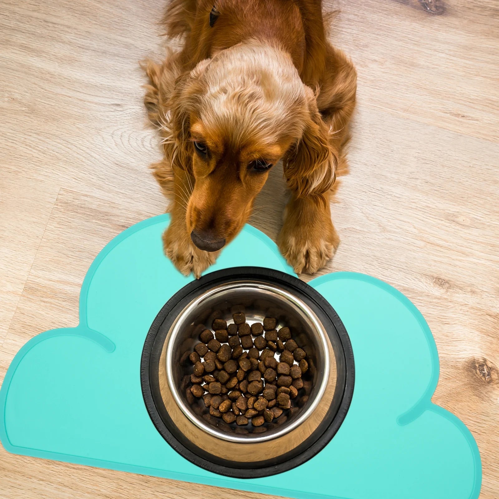 Set of 2 Silicone Pet Placemat R10480
