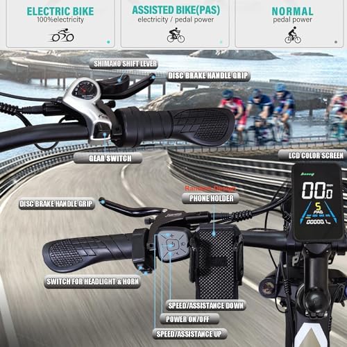 Dual Motors 2000W 35MPH Electric Mountain Bicycle with 48V 22.4AH Removable Battery, 7 Speed 26" Fat Tire Full Suspension Hydraulic Disc Brake Q350