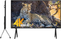 100 Inch 4K UHD Smart TV F9766