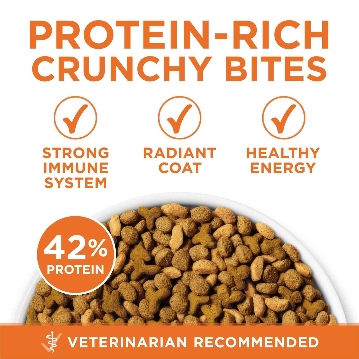 Dry Cat Food Y21638