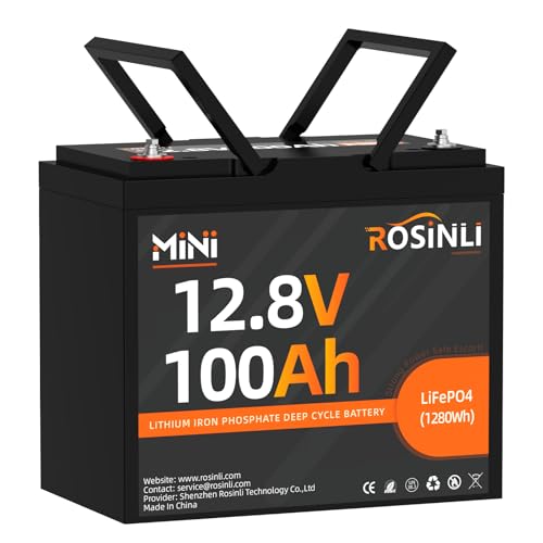 12V 100Ah Group 24 LiFePO4 Battery with 100A BMS Y817984