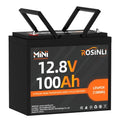 12V 100Ah Group 24 LiFePO4 Battery with 100A BMS Y817984