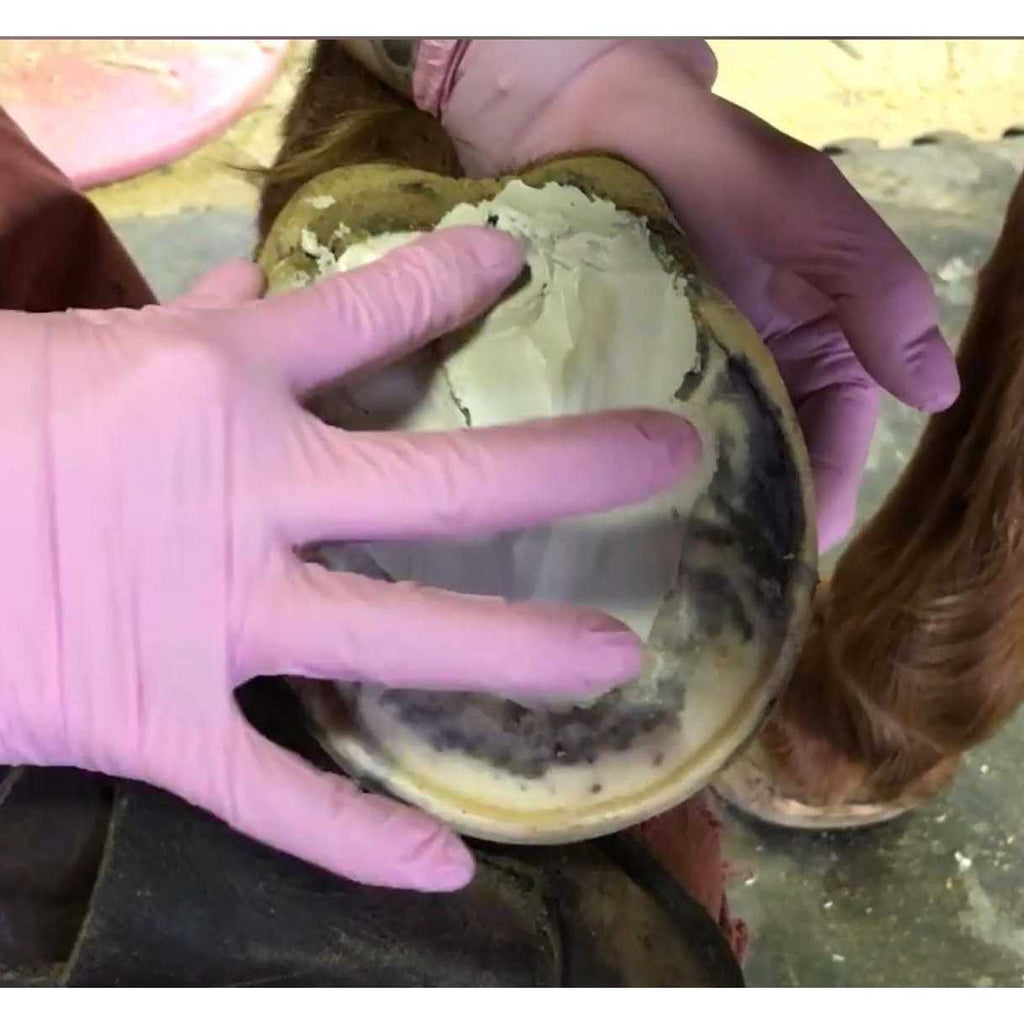Hoof Clay 750g N492517