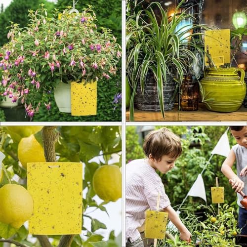 30-Pack Yellow Sticky Traps (6x8 Inches, 30pcs Twist Ties) U714