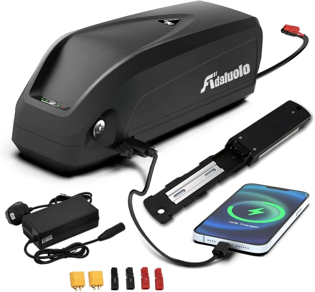 48V 20AH Lithium ion Electric Bike Battery with Charger P896889