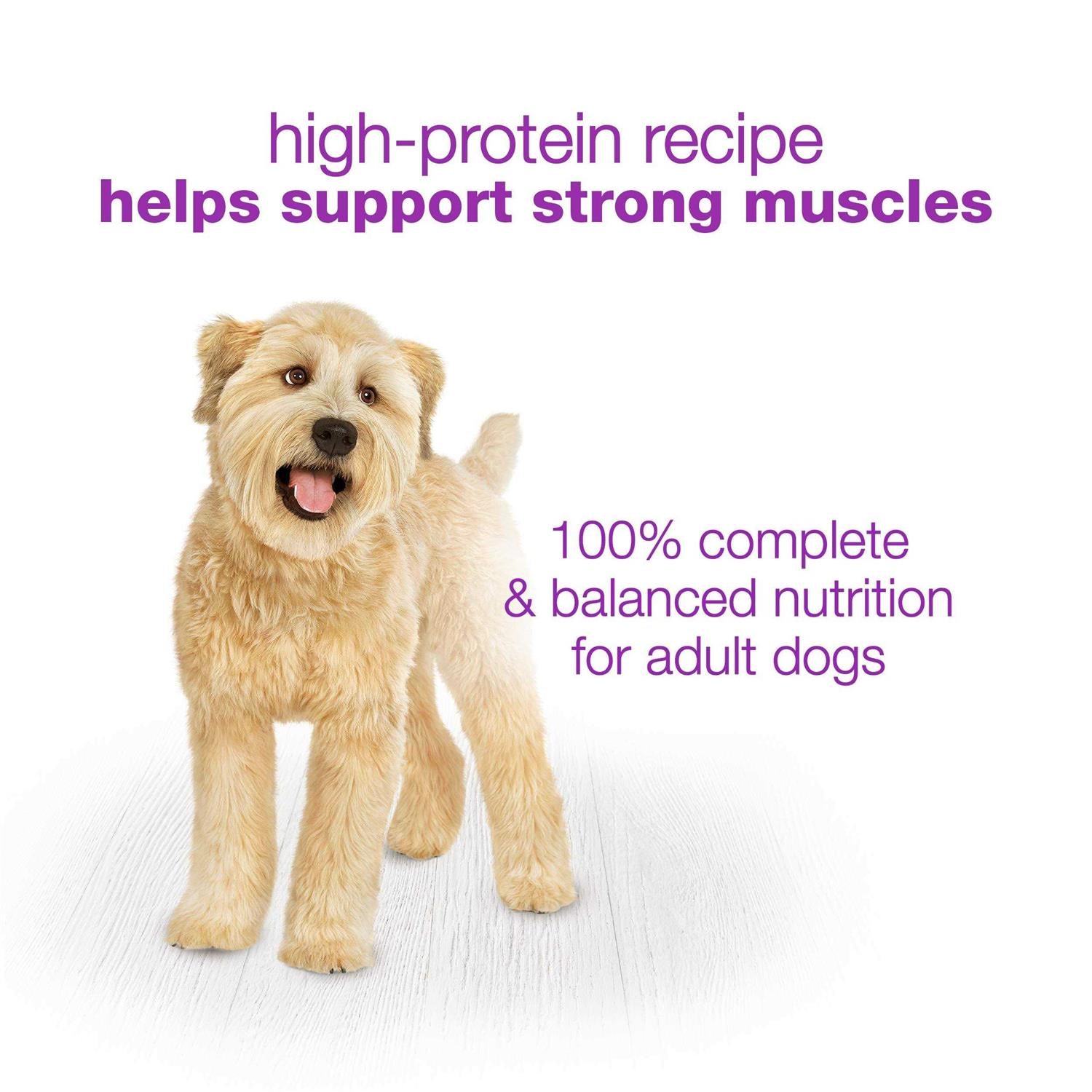 Chopped Blends Wet Dog Food with Chicken Carrots Peas & Wild Rice O387944