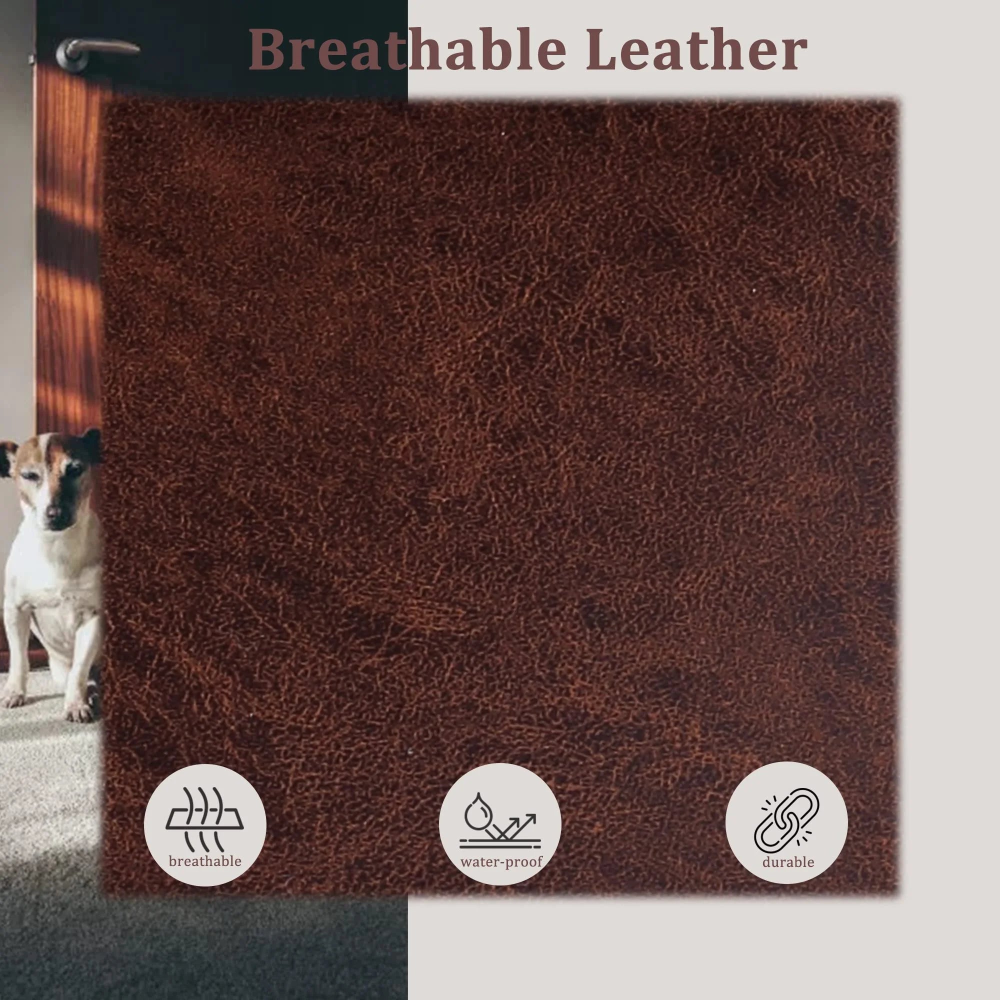 Brown Faux Leather Armchair with Metal Frame Z8621
