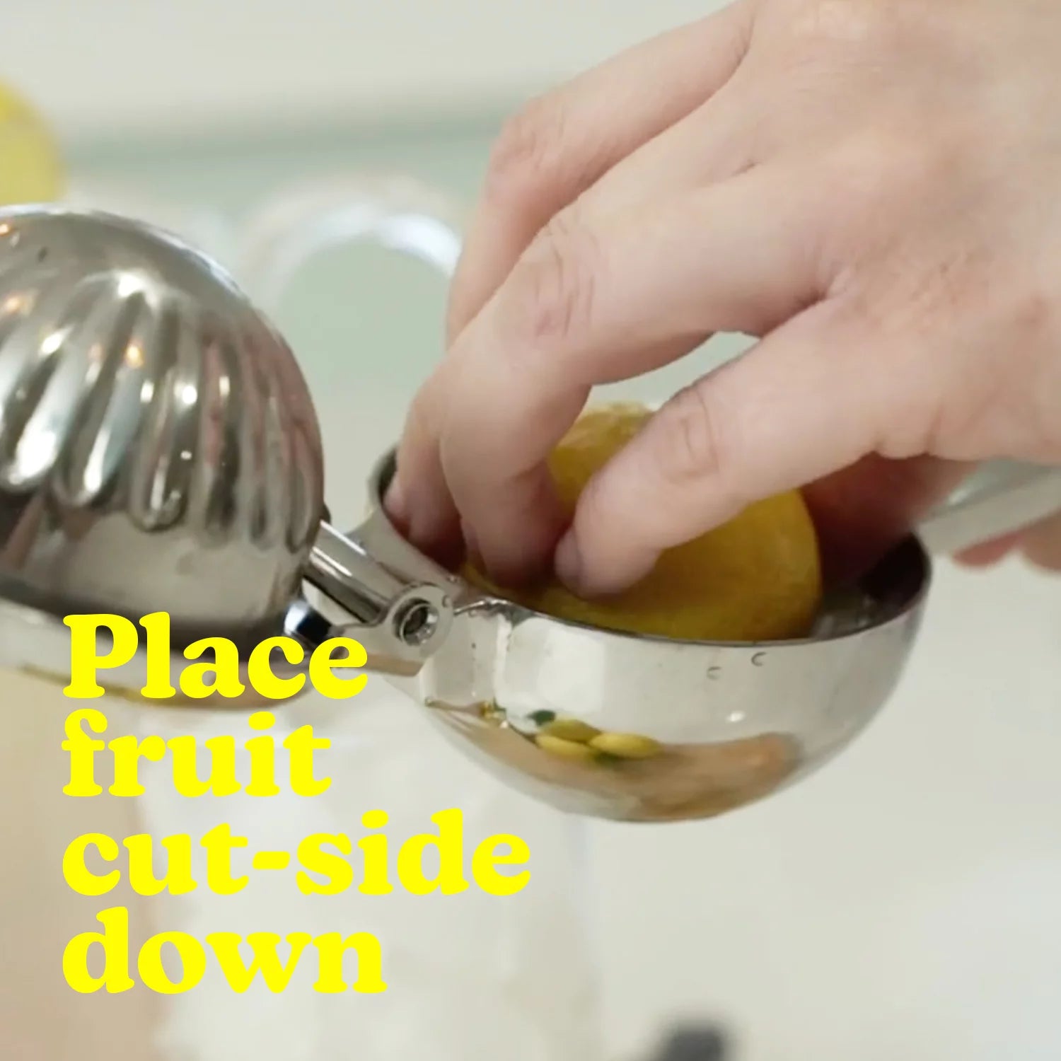 Lemon Squeezer Stainless Steel B7618