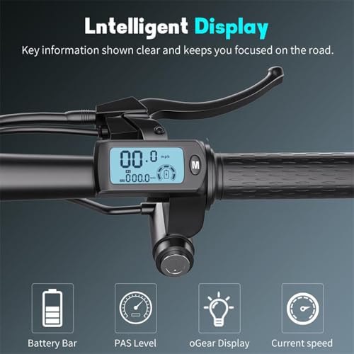 28 MPH 35 Miles Range 14'' Fat Tire Electric Scooter R3951