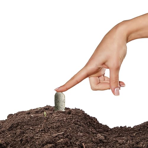 6 Count Garden Fertilizer Spikes R655018