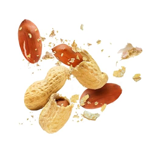 Raw Peanuts in Shell, 25 Pound Bag H127
