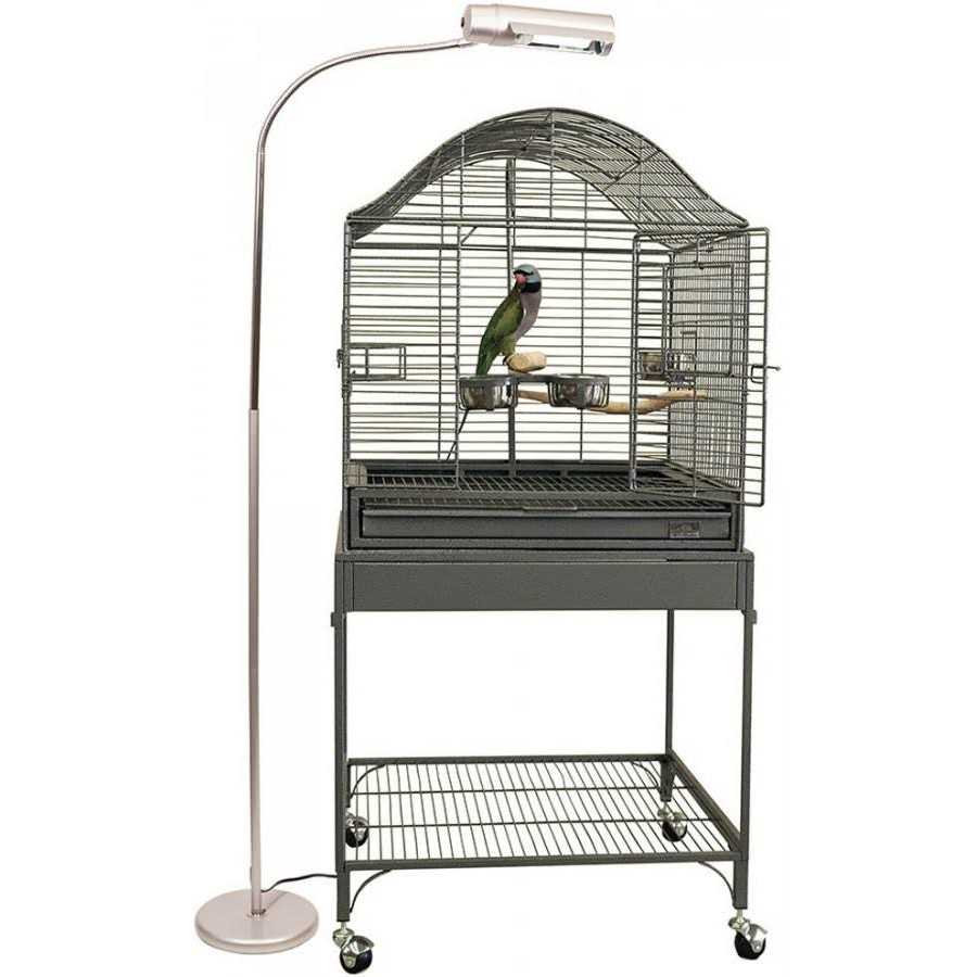 Avian Sun Deluxe Floor Lamp F570