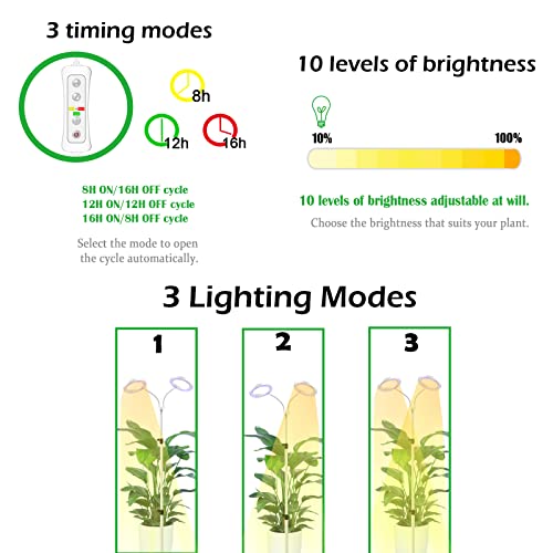 Full Spectrum LED Floor Plant Light with Timer R41929