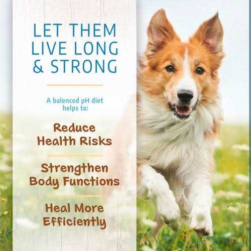 Limited Ingredient Dry Dog Food E347140