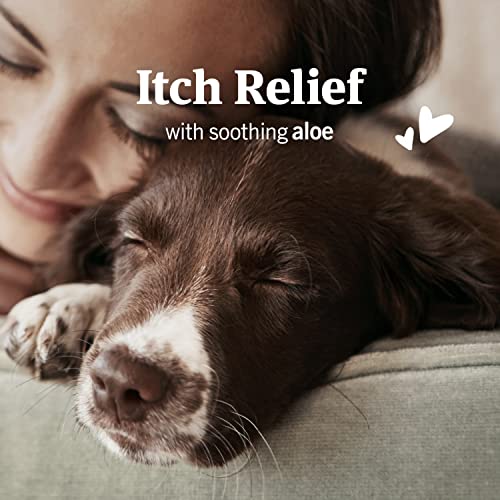 Ear Mite Treatment for Dogs, 3oz A313
