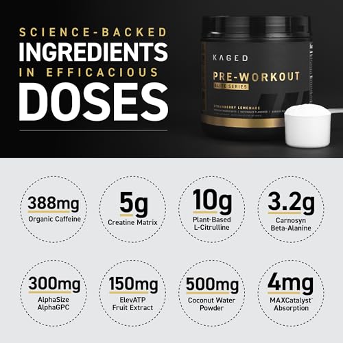 Fruit Punch Pre Workout Powder 20 Servings M4261