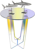 Acrylic Side Table with Storage Shelf S33019