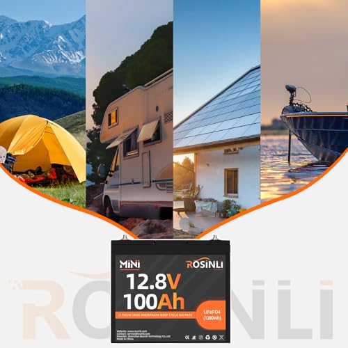 12V 100Ah Group 24 LiFePO4 Battery with 100A BMS Y817984