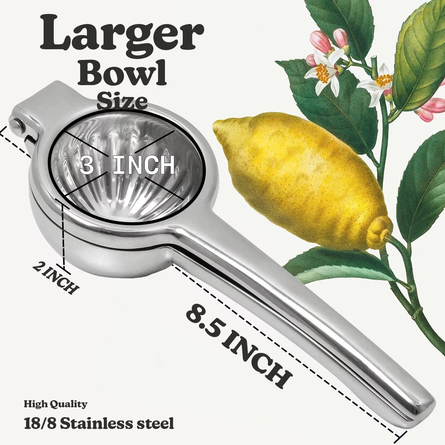 Lemon Squeezer Stainless Steel B7618