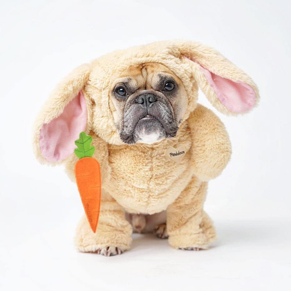 Dog Halloween Costume with Arms for Small and Medium Dogs and Cats F832