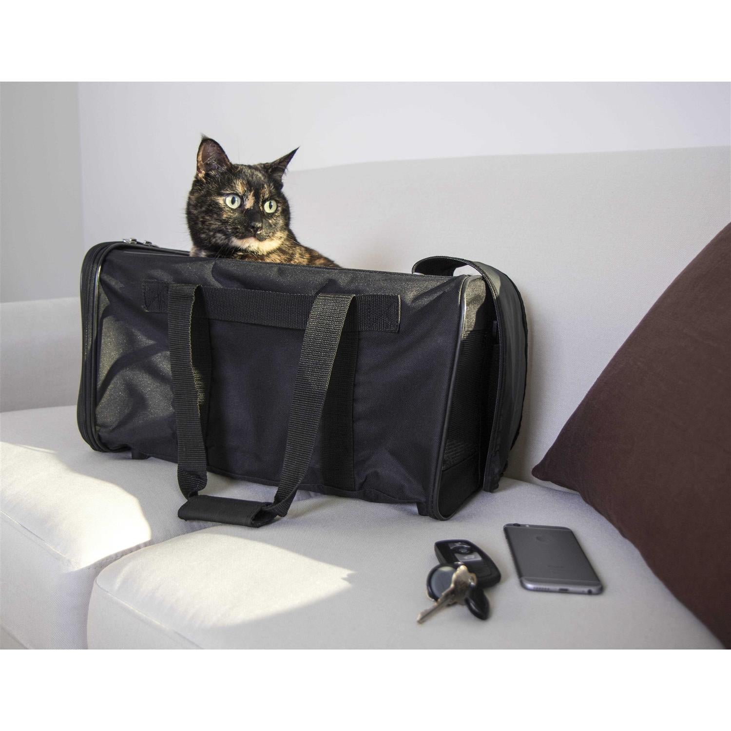 Travel Pet Carrier V586