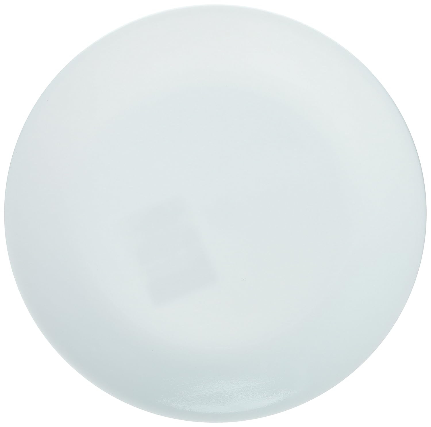 White Dinner Plates 10-1/4" Dia. (Pack of 6) T2790