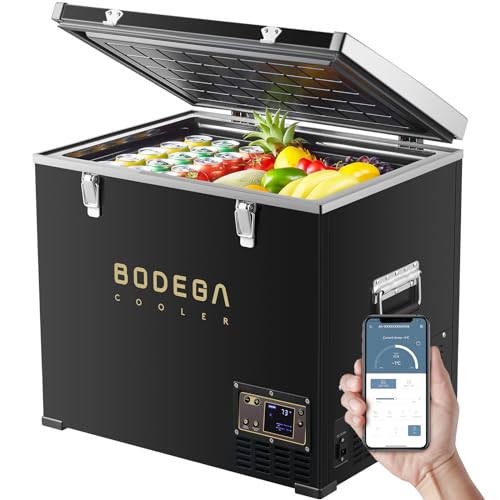 12 Volt 43L Portable Car Fridge V687555